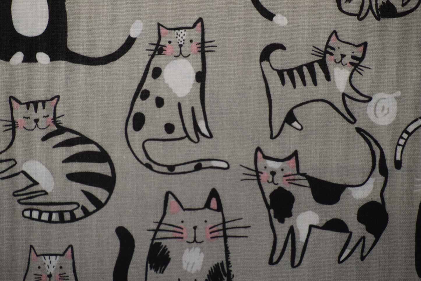 Cats and Paws Coaster