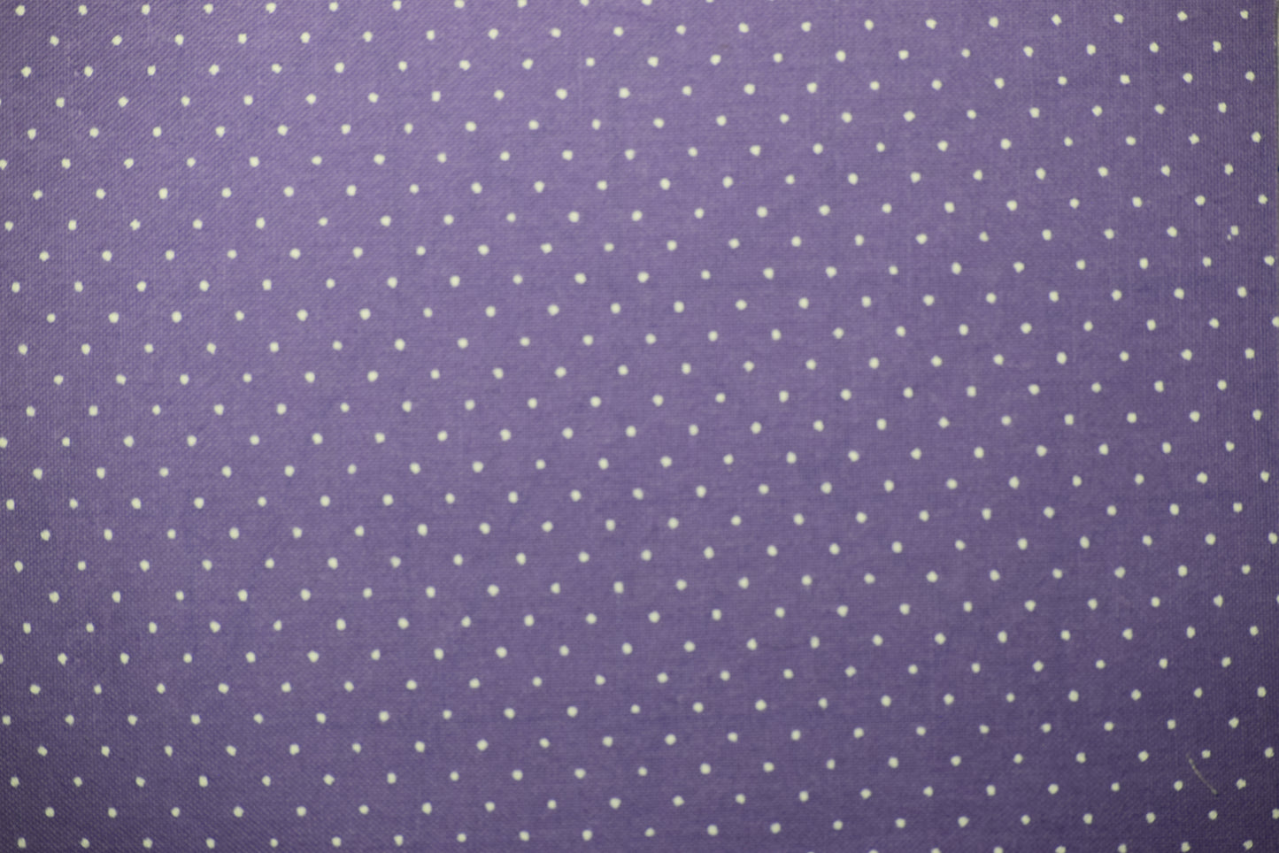 Purple Butterflies Coaster