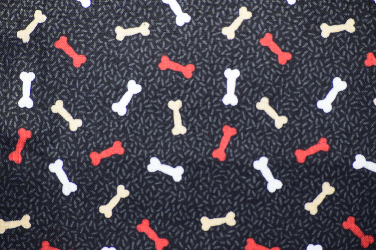 Paws and Treats Coaster