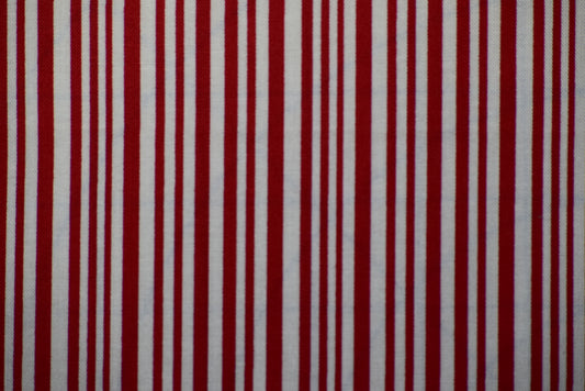 Paws and Stripes Coaster