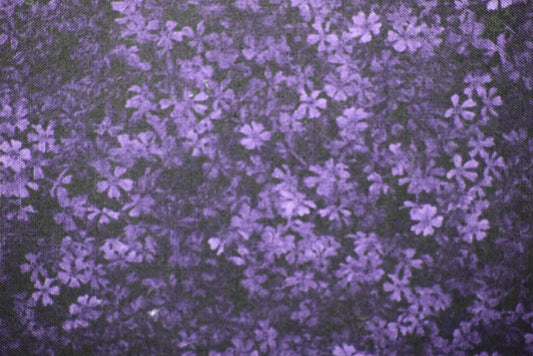 Butterflies and Leaves Coaster