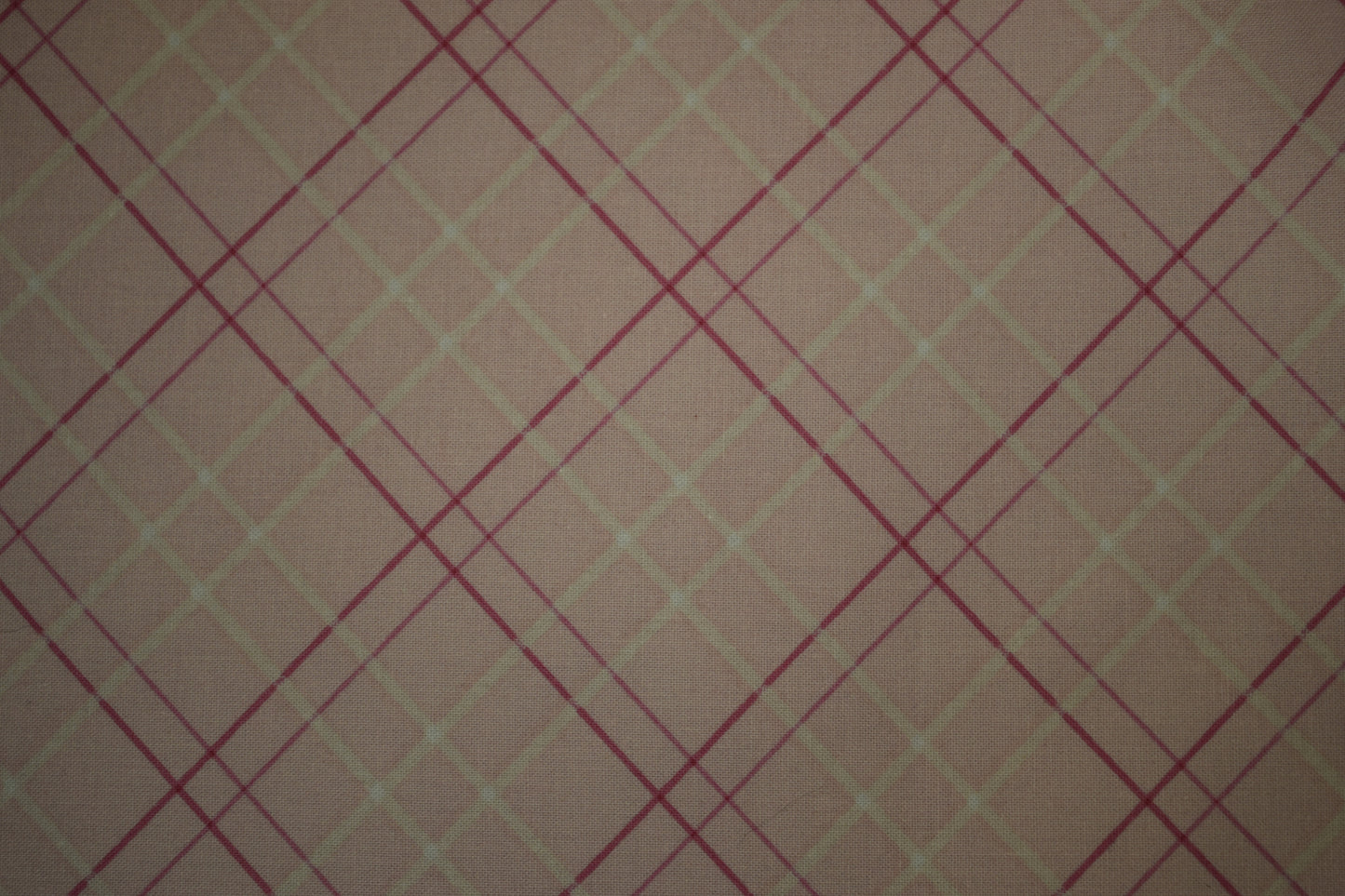 Pink Roses Coin Purse