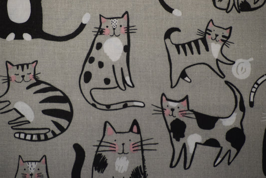 Cats and Paws Coaster