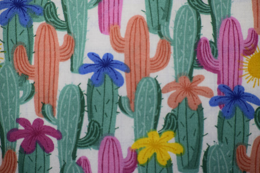 Cactus Coaster