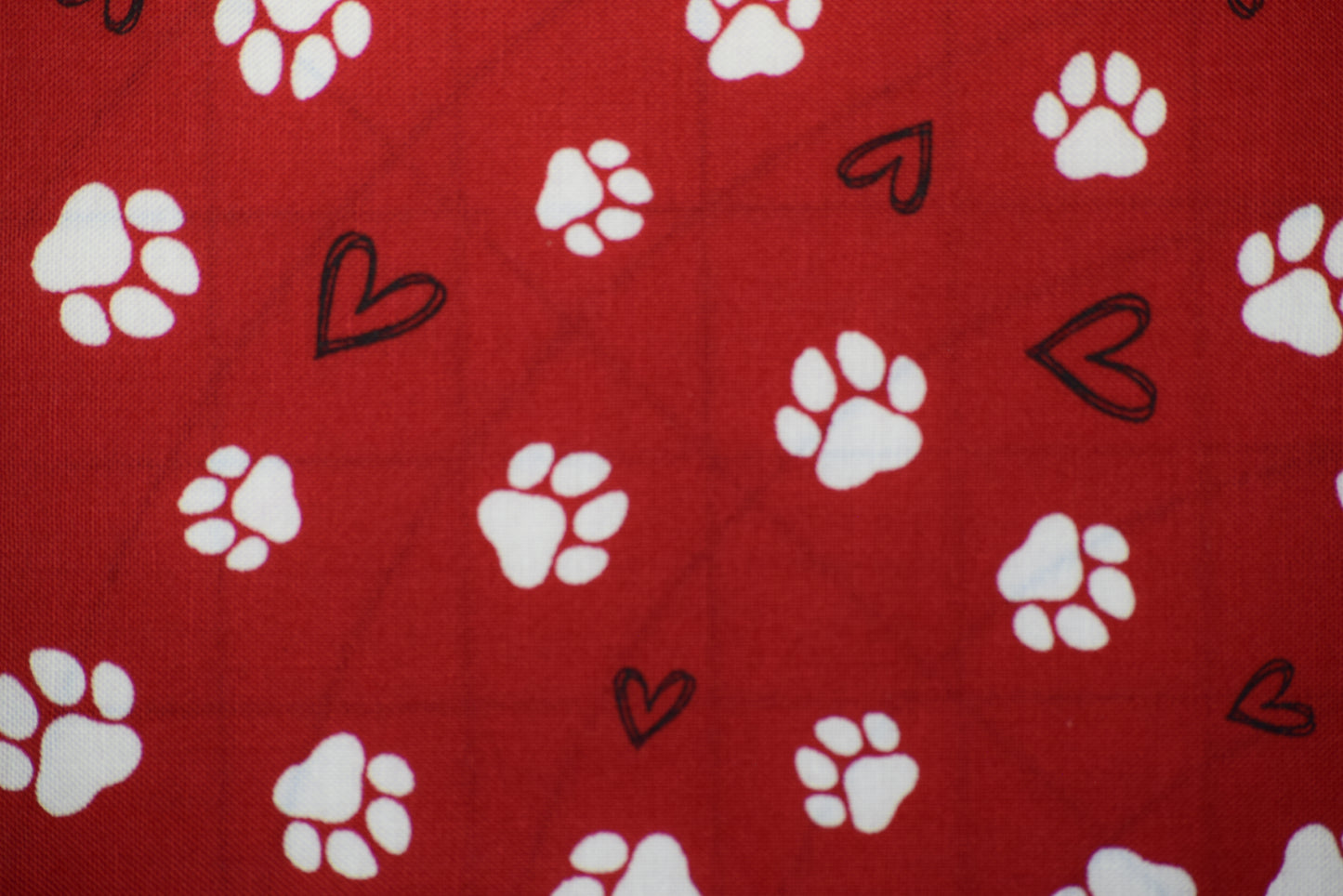 Paws and Stripes Coaster