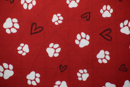 Paws and Stripes Coaster