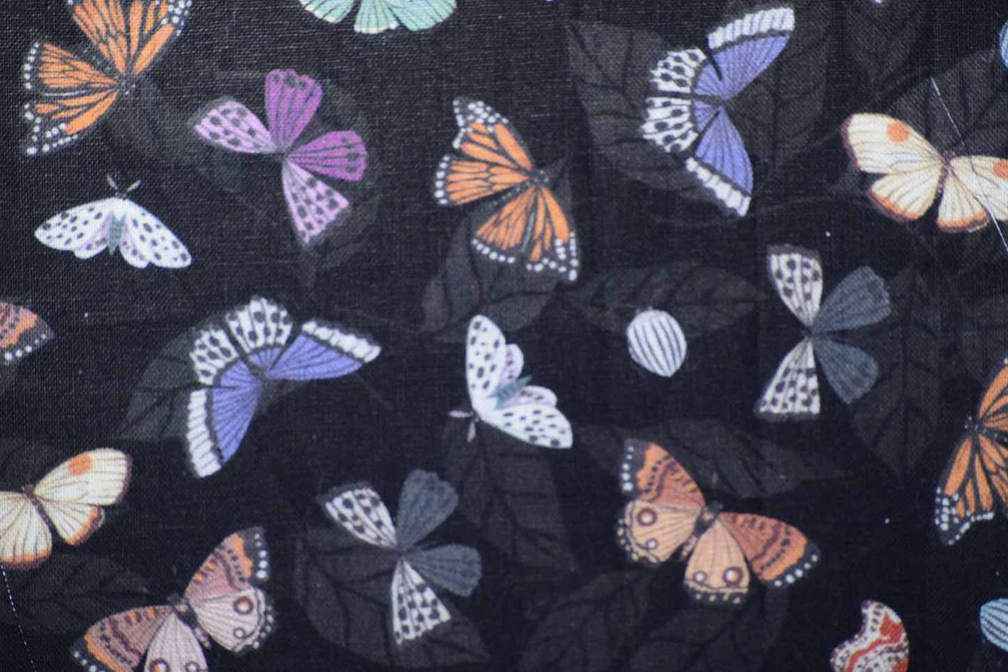 Butterflies and Leaves Coaster